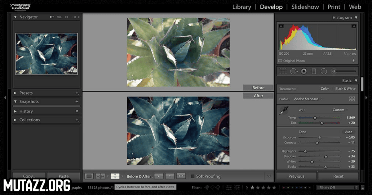 لايت روم مهكر للكمبيوتر