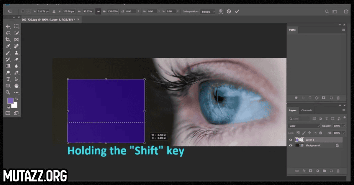 فوتوشوب 2019 مفعل مدى الحياة